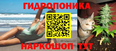 спиды Керчь